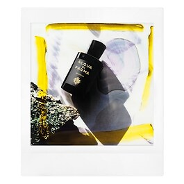 Signatures of the Sun Quercia - Eau de Parfum Woody Aromatic